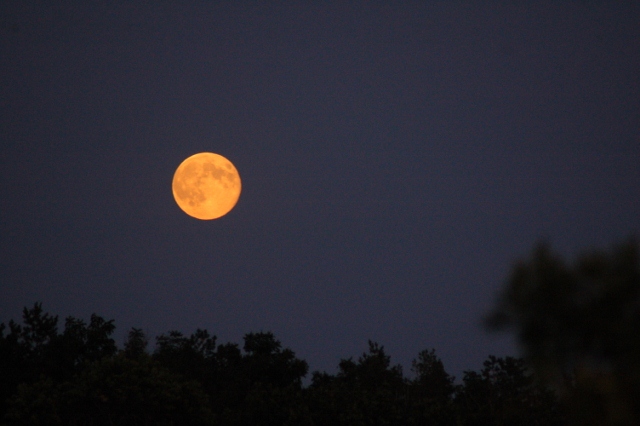 moonrise